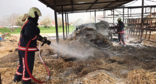 Manisa Büyükşehir Belediyesi fırtına alarmındaydı !