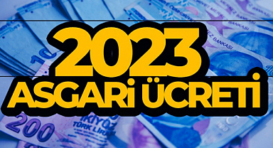 Türkiye 2023 asgari ücret sıralamasında ne durumda?