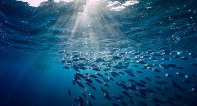 Türkiye o komisyonda gözlemci ülke oldu