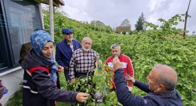 Büyükşehirin aşı 'Ordu'su büyüyor