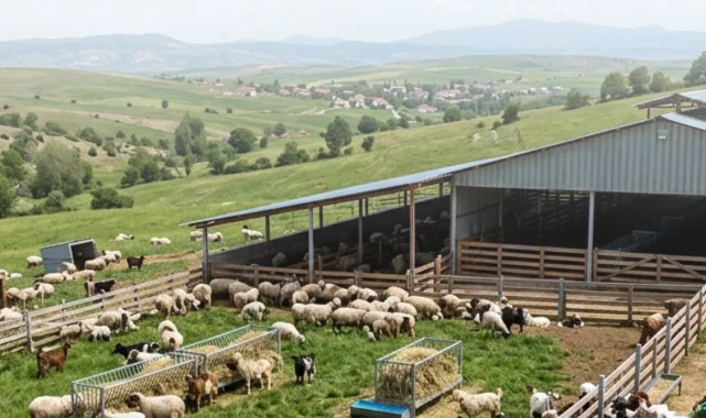 Çiftçilere 5,48 milyar TL tarımsal destek ödemeler hesaplarda