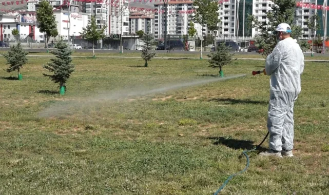 Malatya'da vektörel mücadele sürüyor