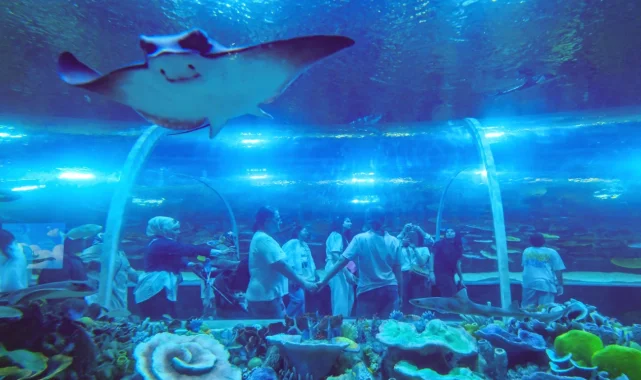 Kocaeli'de Körfez Aqua 7'den 70'e herkesi büyüledi